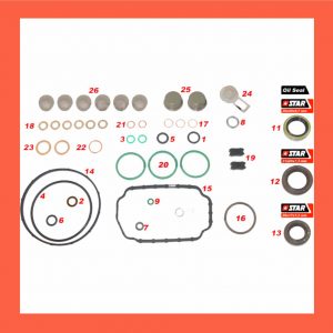 (STAR Ref. 31528) - KIT REP. BOMBA BOSCH VE- ESPECIAL 3 RET.  Ref/-096010-0020 17x20x30