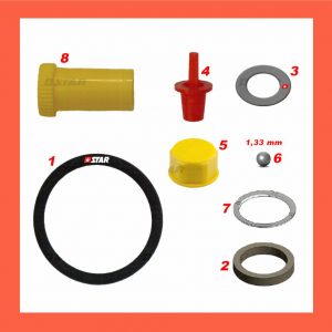 (STAR Ref.60.124/05) - C/RAIL INJ/REPAIR KIT Ref/ BH Applications