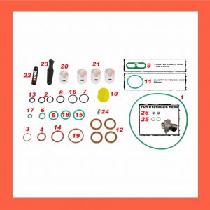 (STAR Ref. 60.139/07) - KIT REPP/BOMBA DELPHI DFP1 C/R, SANYONG Ref/- 7135-539 = 7135-479A