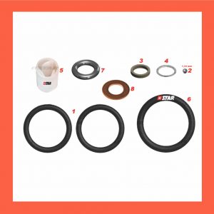 (STAR Ref.60.206) - KIT-INJ/C/RAIL RENAULT BODY Nr-0445120020