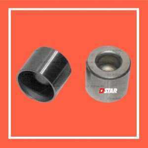 (STAR Ref.48051) - PISTONCILLO  P/BOMBA - 2449999026 Ref/- 2440520022 = 2449998714