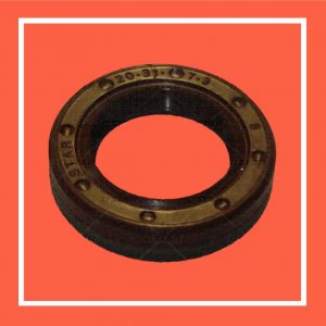 (STAR Ref. 31936) RETENEDOR P/ VE-BH/ZEXEL 20X31X7.3 MM Ref/- 9461615373 = 146601-0700