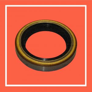(STAR Ref. 31916/05) - RETENEDOR  TIPO ZEXEL ISUZU P/FTR Ref/-139625-0000 -9411610442