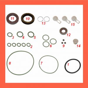 (STAR Ref. 60.194) - KIT REPARACION P/ CP3 CUMMINS DAF Nr/BOMBA -0445020045=050